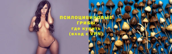 jwh Нязепетровск