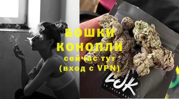 гидра Новозыбков