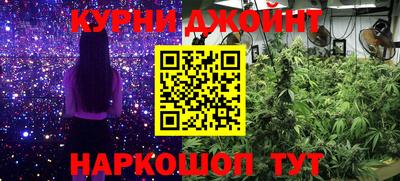 гашик Бузулук