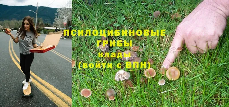 Галлюциногенные грибы Magic Shrooms  Зеленокумск 