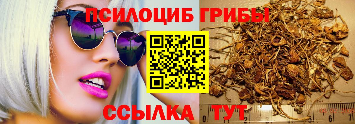 Зеленокумск  Гашиш  Вход с VPN  Кокаин  МДМА  Мефедрон   МАРИХУАНА 